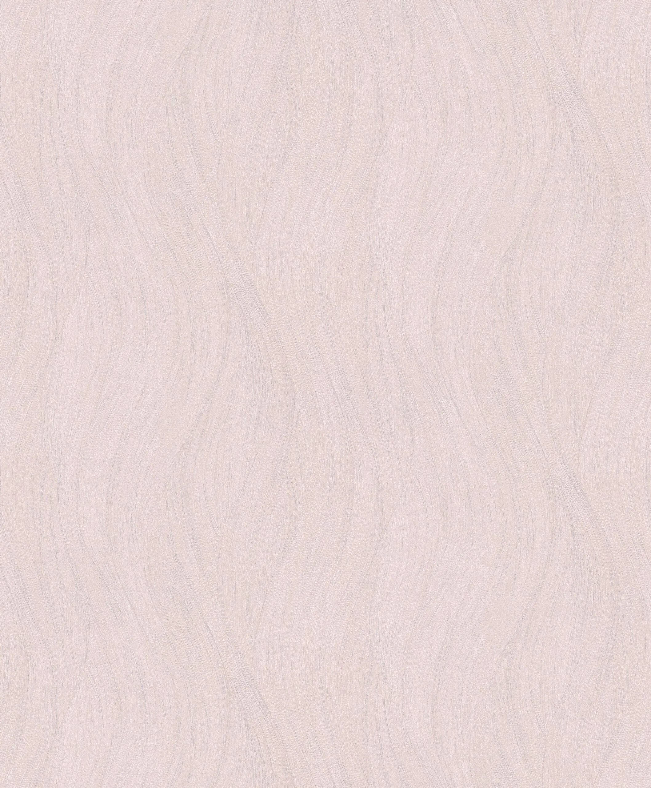 Evolution-10317 - Image 11