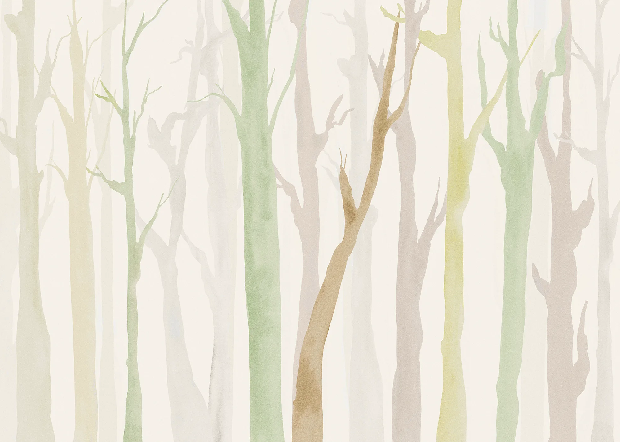 Shadow Woods - Image 2