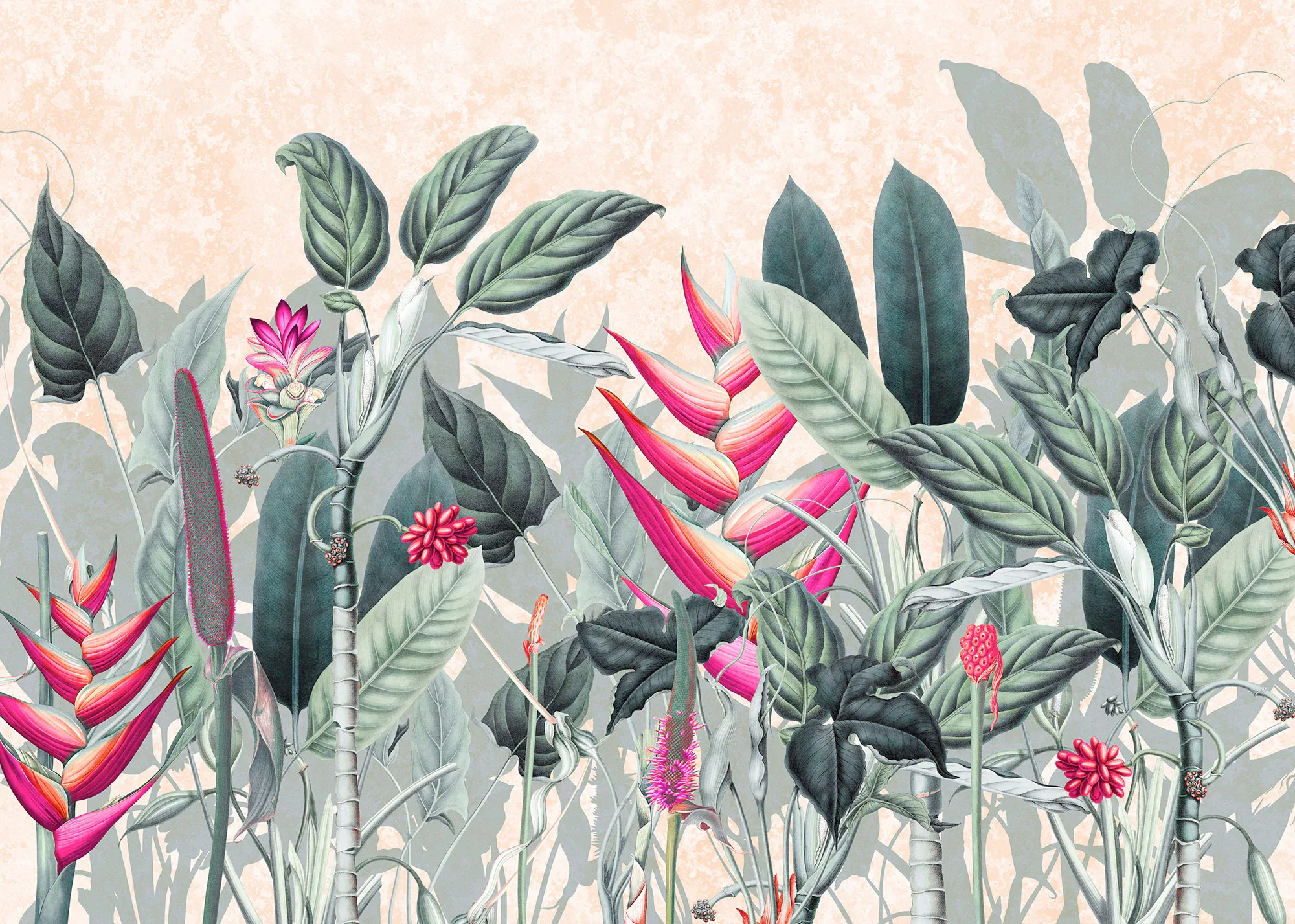 Soft Jungle - Image 2