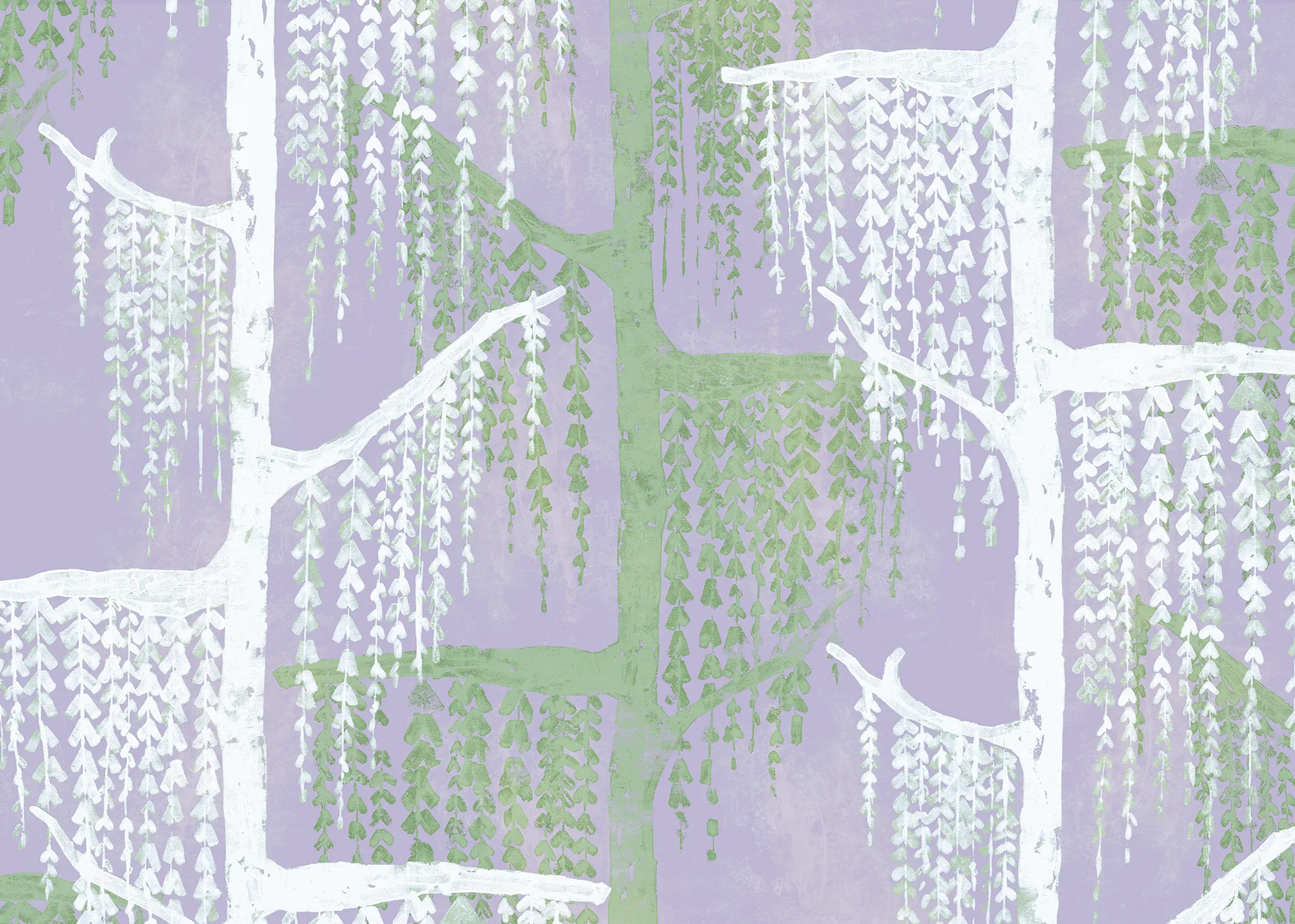 Crazy Willow - Image 2