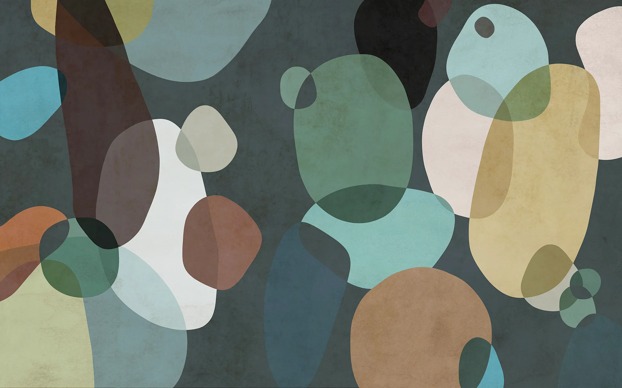 Form Symbiotic - Image 2